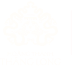 Logo Doan Ngo